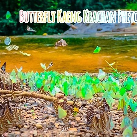 Baan Rai Pray Rung Kaeng Krachan Ban Tha Ling Lom Luaran gambar