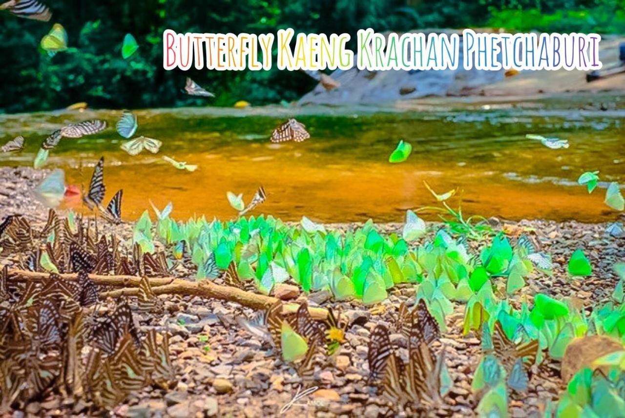 Baan Rai Pray Rung Kaeng Krachan Ban Tha Ling Lom Luaran gambar